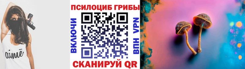 Купить закладки  Спас-Клепики  Галлюциногенные грибы Cubensis 